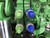 https://api.rdoequipment.com/api/EquipmentImage?imgID=14312164&filename=24_X860624-14.jpg