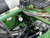http://used.rdoequipment.com/getImageS2.cfm?imgID=14757172&filename=28_IMG_9787.jpg