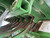 http://used.rdoequipment.com/getImageS2.cfm?imgID=14757162&filename=18_IMG_9769.jpg