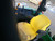 http://used.rdoequipment.com/getImageS2.cfm?imgID=14031978&filename=37_46.jpg