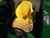 http://used.rdoequipment.com/getImageS2.cfm?imgID=14031977&filename=36_45.jpg