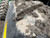 https://api.rdoequipment.com/api/EquipmentImage?imgID=14868594&filename=38_X901664---38.jpg