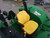 https://api.rdoequipment.com/api/EquipmentImage?imgID=14521465&filename=24_26.jpg