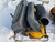 http://used.rdoequipment.com/getImageS2.cfm?imgID=14138599&filename=5_20221217_115708.jpg