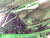 http://used.rdoequipment.com/getImageS2.cfm?imgID=14757270&filename=5_9.jpg