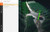https://store-c15gp8ieyg.mybigcommerce.com/product_images/import/RDOai-lidar1.jpg