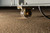 https://grydaleusa.com/wp-content/uploads/2022/04/Castor-Wheel-Feature-1.jpg