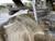 https://api.rdoequipment.com/api/EquipmentImage?imgID=16812752&filename=13_Z972370---13.jpg