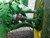 https://api.rdoequipment.com/api/EquipmentImage?imgID=11973352&filename=25_043.jpg