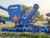 https://api.rdoequipment.com/api/EquipmentImage?imgID=11255232&filename=4_730-3.jpg