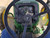 https://api.rdoequipment.com/api/EquipmentImage?imgID=12951737&filename=29_48.jpg