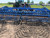 https://api.rdoequipment.com/api/EquipmentImage?imgID=13046218&filename=26_27.jpg