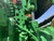 https://api.rdoequipment.com/api/EquipmentImage?imgID=13338800&filename=22_IMG_0735.jpg