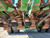https://api.rdoequipment.com/api/EquipmentImage?imgID=15444061&filename=26_X843227---26.jpg