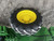 https://api.rdoequipment.com/api/EquipmentImage?imgID=14163586&filename=16_IMG_6047.jpg