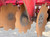 https://api.rdoequipment.com/api/EquipmentImage?imgID=15539656&filename=20_X604735---20.jpg