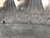 https://api.rdoequipment.com/api/EquipmentImage?imgID=15611896&filename=12_X835942---12.jpg