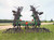 https://api.rdoequipment.com/api/EquipmentImage?imgID=15601815&filename=4_X938351---05.jpg