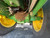 https://api.rdoequipment.com/api/EquipmentImage?imgID=15056828&filename=6_Z006778---09.jpg