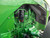 https://api.rdoequipment.com/api/EquipmentImage?imgID=14861236&filename=22_Z010586---22.jpg