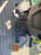 https://api.rdoequipment.com/api/EquipmentImage?imgID=15009896&filename=44_Z010745---44.jpg