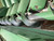 https://api.rdoequipment.com/api/EquipmentImage?imgID=15186516&filename=7_11.jpg