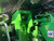 https://api.rdoequipment.com/api/EquipmentImage?imgID=16603496&filename=11_Z026376---12.jpg