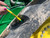 https://api.rdoequipment.com/api/EquipmentImage?imgID=17228078&filename=28_Z026381---30.jpg