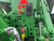 https://api.rdoequipment.com/api/EquipmentImage?imgID=16856307&filename=17_802395---17.jpg