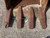 https://api.rdoequipment.com/api/EquipmentImage?imgID=17130351&filename=2_9C469E69-D5BD-46F3-99AE-6835A20E779B.jpg