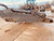 https://api.rdoequipment.com/api/EquipmentImage?imgID=16835739&filename=14_50B1F959-E23C-40C2-927A-3DE5BFDFE72D.jpg