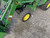 https://api.rdoequipment.com/api/EquipmentImage?imgID=16566487&filename=24_IMG_1237.jpg