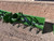https://api.rdoequipment.com/api/EquipmentImage?imgID=17104118&filename=1_X676138_BB5060-(2).jpg