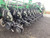https://api.rdoequipment.com/api/EquipmentImage?imgID=16168465&filename=17_Z024129---18.jpg