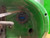 https://api.rdoequipment.com/api/EquipmentImage?imgID=15396751&filename=8_Z025707---08.jpg