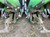 https://api.rdoequipment.com/api/EquipmentImage?imgID=19114585&filename=24_Z059466---24.jpg