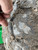 https://api.rdoequipment.com/api/EquipmentImage?imgID=17531223&filename=12_Z065546---13.jpg