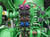 https://api.rdoequipment.com/api/EquipmentImage?imgID=17213857&filename=17_Z078929---15.jpg