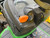https://api.rdoequipment.com/api/EquipmentImage?imgID=17264121&filename=32_Z081799---38.jpg