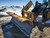 https://api.rdoequipment.com/api/EquipmentImage?imgID=17230156&filename=3_20240328_152507.jpg