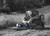 https://store-c15gp8ieyg.mybigcommerce.com/product_images/import/ground_shark_sd_ss_brush_cutter_bradco.jpg