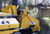 https://www.vermeer.com/getmedia/0488de6e-fbbb-44f9-89a1-f19bba6a8cad/feeding-ax17-brush-chipper.jpg?width=670&height=450&ext=.jpg