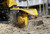 https://www.vermeer.com/getmedia/2e4ccd40-5b11-4b1e-97f5-04c7a80a6baf/vermeer-sc48tx-stump-grinder-in-action.jpg?width=670&height=450&ext=.jpg