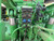 https://api.rdoequipment.com/api/EquipmentImage?imgID=17487481&filename=15_901041---15.jpg