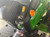 https://api.rdoequipment.com/api/EquipmentImage?imgID=17659442&filename=27_X438926---38.jpg