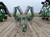https://api.rdoequipment.com/api/EquipmentImage?imgID=17552213&filename=8_001322---08.jpg