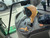 https://api.rdoequipment.com/api/EquipmentImage?imgID=17825838&filename=37_Z079621---39.jpg