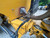 https://api.rdoequipment.com/api/EquipmentImage?imgID=17610845&filename=11_IMG_1955.jpg