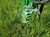 https://api.rdoequipment.com/api/EquipmentImage?imgID=18070480&filename=9_Z105907---09.jpg