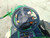 https://api.rdoequipment.com/api/EquipmentImage?imgID=18437767&filename=33_Z111738---34.jpg